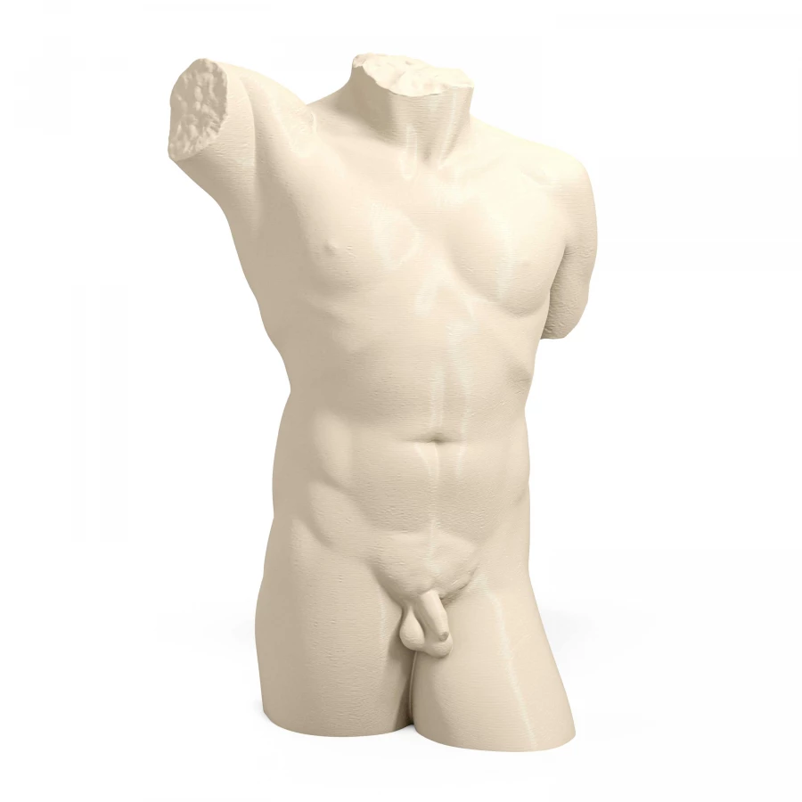 1940s Neoclassical Male Torso in Light Ivory